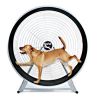 GoPet TreadWheel For Large Dogs